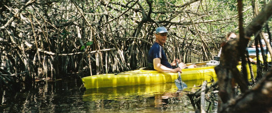 Exploring the mangroves by kayak in the Everglades Exploring the mangroves by kayak in the Everglades