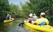 Recreational Kayaking in the Everglades