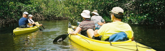 Cruising with new friends by kayak in the Everglades Cruising with new friends by kayak in the Everglades
